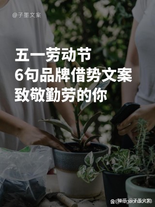 劳动节文案 | 献给辛勤耕耘的你