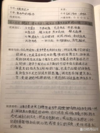 有关名著的读书笔记