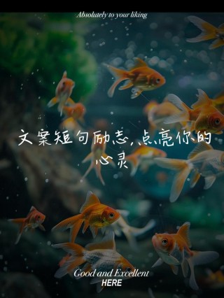 朋友圈励志文案合集： 点亮你的生活，照亮你的梦想