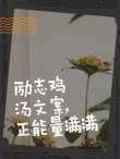 朋友圈文案：点亮心灵的励志鸡汤