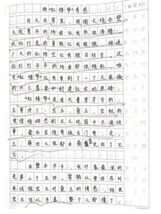 5年级红楼梦读后感300字