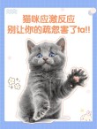 可爱猫咪语录大全，让你更懂TA