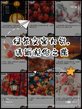 小绿茶文案精选用文字点亮品牌魅力