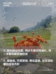 朋友圈励志文案｜点燃你的激情，拥抱希望