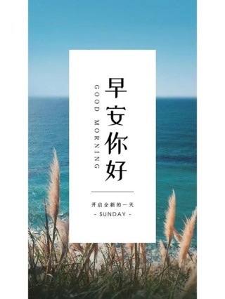 点亮朋友圈，激励自我：20条心灵鸡汤文案