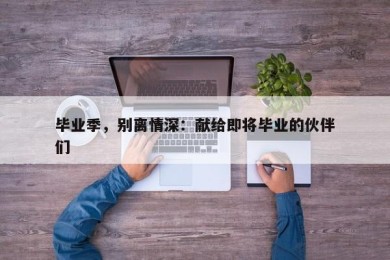 毕业季，别离情深：献给即将毕业的伙伴们