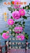 2022重阳节简短祝福语录