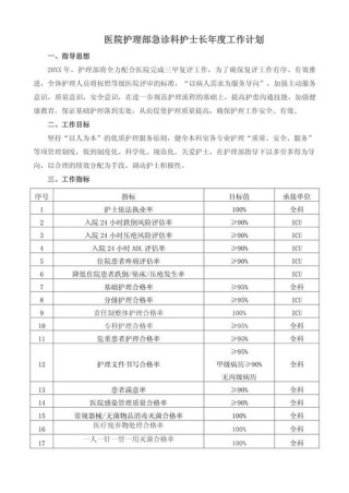 医院护士年度工作计划