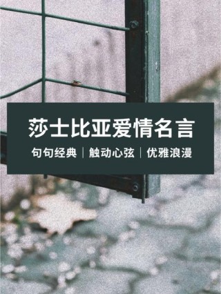 莎士比亚的经典语录460句