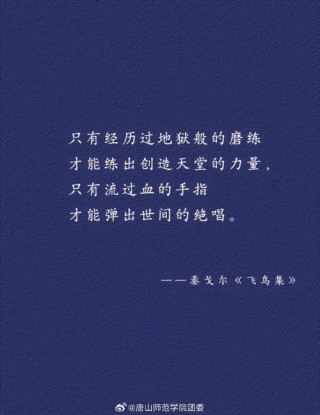 泰戈尔飞鸟集经典语录