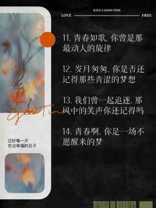 青春歌曲文案（用音乐唤醒青春记忆）