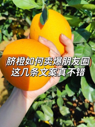 朋友圈卖水果必备的文案技巧与实战案例分享