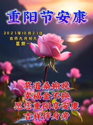 重阳节的传统祝福语录