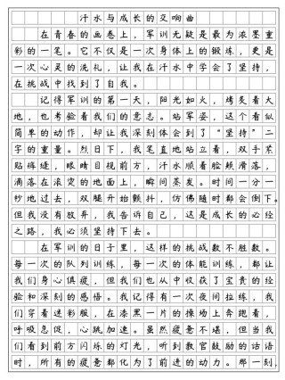 军训总结简短500字