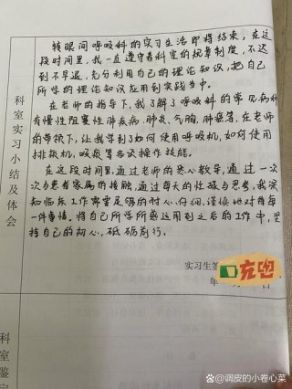 小学生实践心得300字