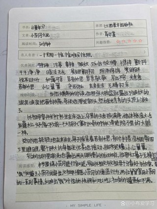 童年第三章读后感100字10篇