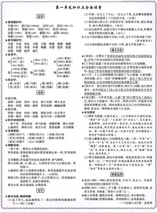 六年级语文教学总结