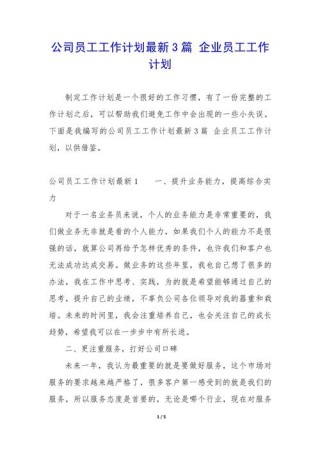 公司员工的工作计划