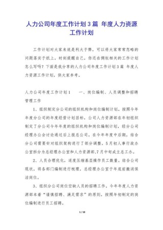 公司人力资源年度计划