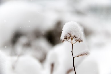 下雪天温暖的文案句子