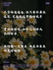 朋友圈励志文案 | 正能量语句 | 激励人心，逆境无惧