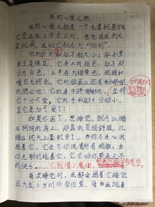 我的心爱之物作文【热】