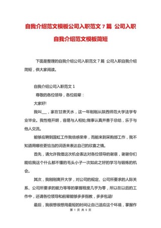 公司个人自我介绍7篇