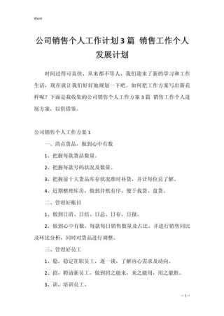 公司销售个人工作计划