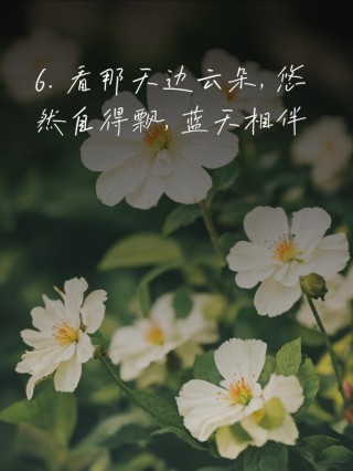 绿草地文案如何撰写？