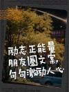 朋友圈励志正能量文案：点亮梦想，照耀前路