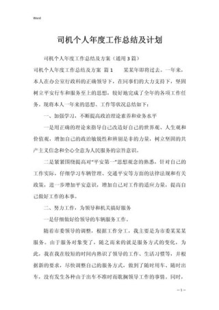 司机个人总结300字