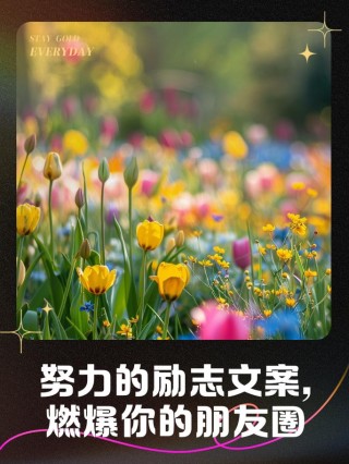 朋友圈励志文案10-20条 | 鼓舞人心、心灵鸡汤 | 酷知号