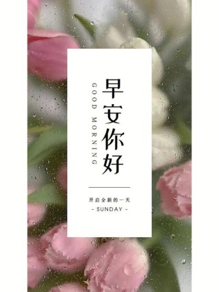 朋友圈励志文案 - 催人奋进的正能量鸡汤