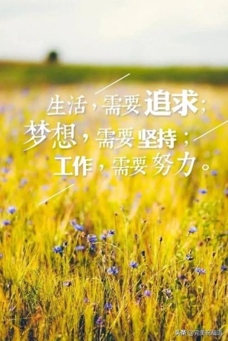 朋友圈励志文案 | 鼓舞人心、温暖心灵的正能量句子