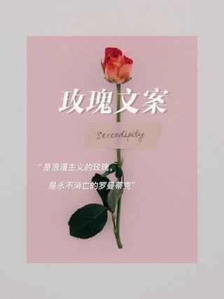 抖音上关于鲜花的文案100句