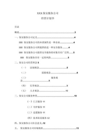 公司保安工作计划