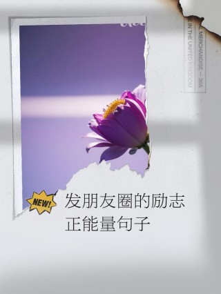 点燃内心的光芒：朋友圈励志文案大全