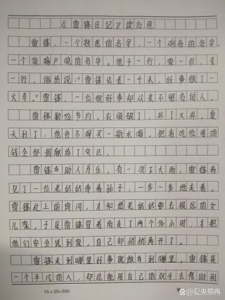 看雷锋的观后感600字