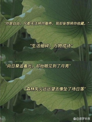 许星纯文案用文字打动人心的艺术