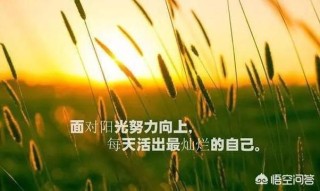 点燃心灵的火花：朋友圈励志文案大全