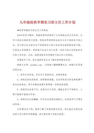 实习班主任的工作计划