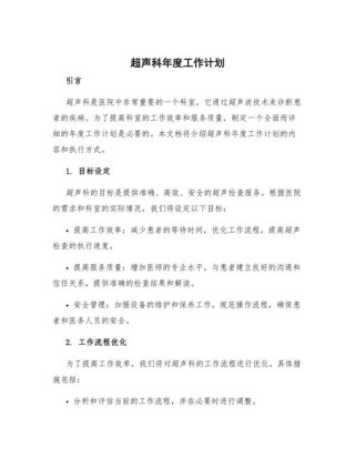 医院医师最新工作计划