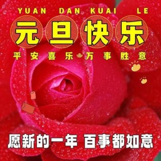 2023兔年元旦节快乐祝福语