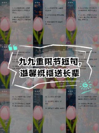 关于庆祝重阳节的个性句子(通用)