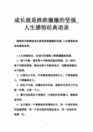 我的语录记录人生点滴，感悟成长历程