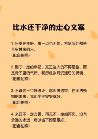 今日热门文案大盘点（看看哪些文案能够打动你的心）