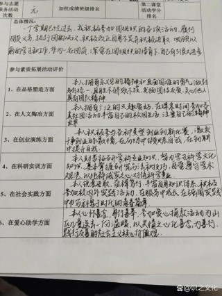 团员个人评议表个人总结