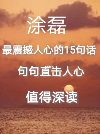 关于涂磊经典语录