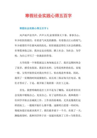 个人寒假实践总结500字