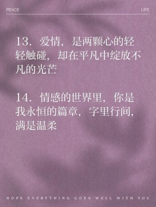 男女情感经典语录（感受爱情的美好，用经典语录传递情感）